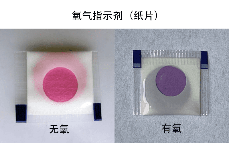 氧气指示剂纸片